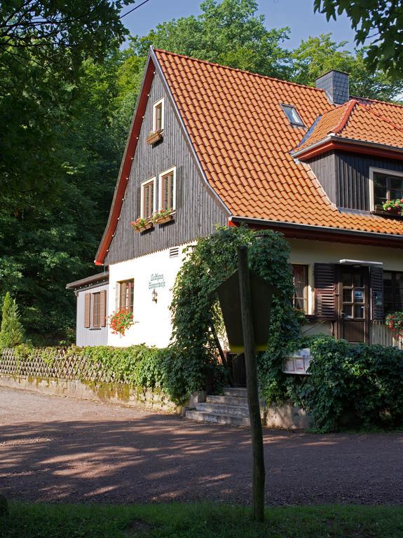 Saengerwiese Eisenach Ruang foto