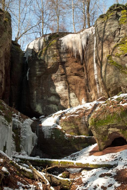 Saengerwiese Eisenach Bagian luar foto