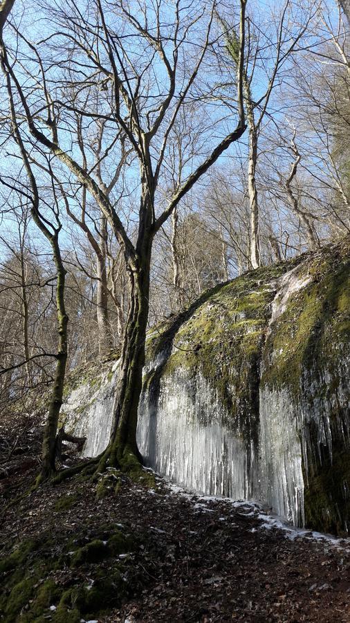 Saengerwiese Eisenach Bagian luar foto
