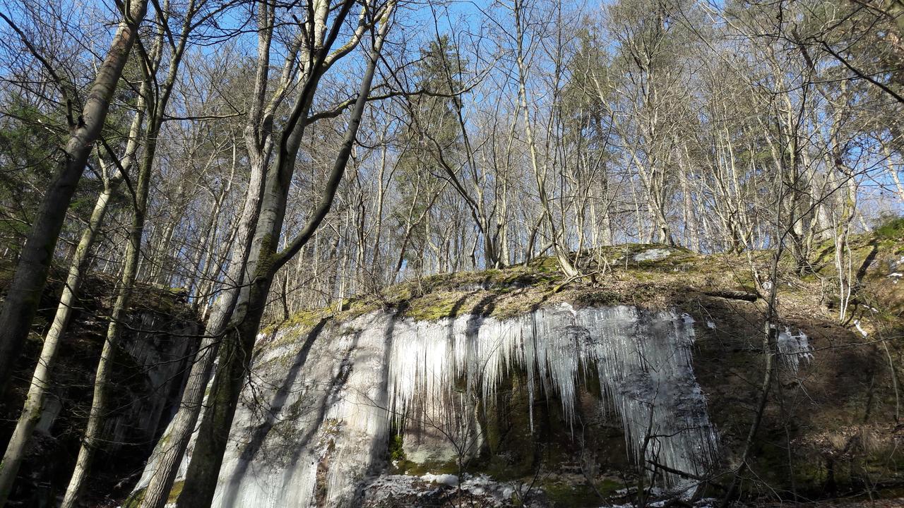 Saengerwiese Eisenach Bagian luar foto