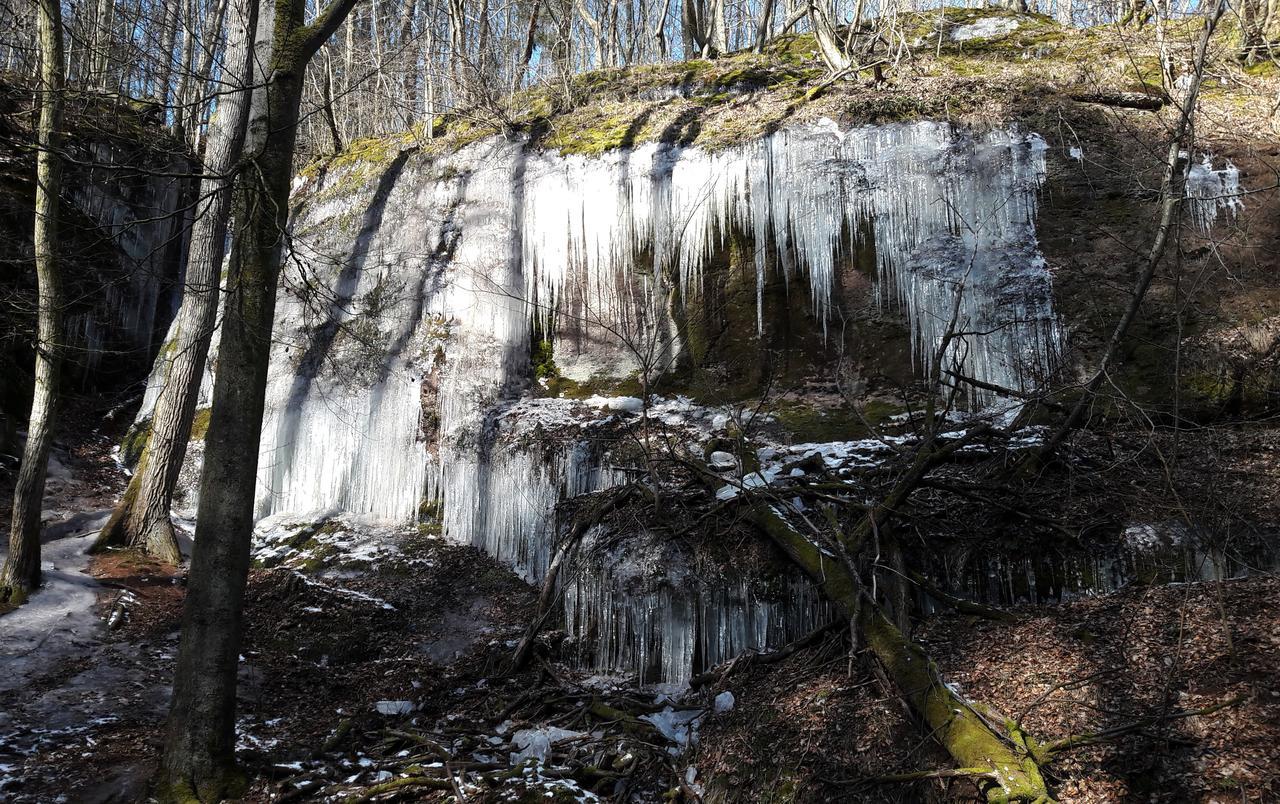 Saengerwiese Eisenach Bagian luar foto